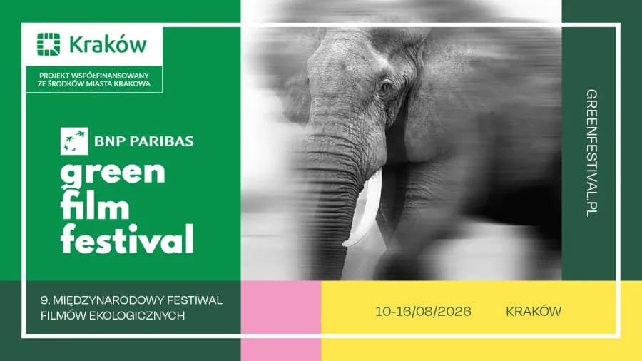 Green Film Festival Brings Open-Air Cinema and Climate Conversations Back to Kraków This August